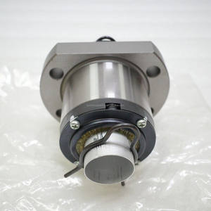 Famosi cuscinetti lineari di alta qualità con dado a sfera lineare BLK3620-5.6ZZ e guida BLK3624-5.6ZZ del Giappone - Product Image 1