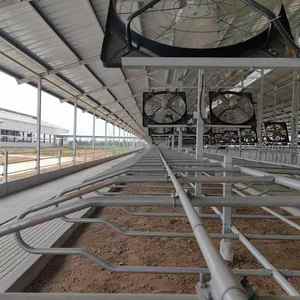 Cages préfabriquées pour animaux à structure en acier Maison de ferme pour vaches et atelier pour chevaux - Product Image 1
