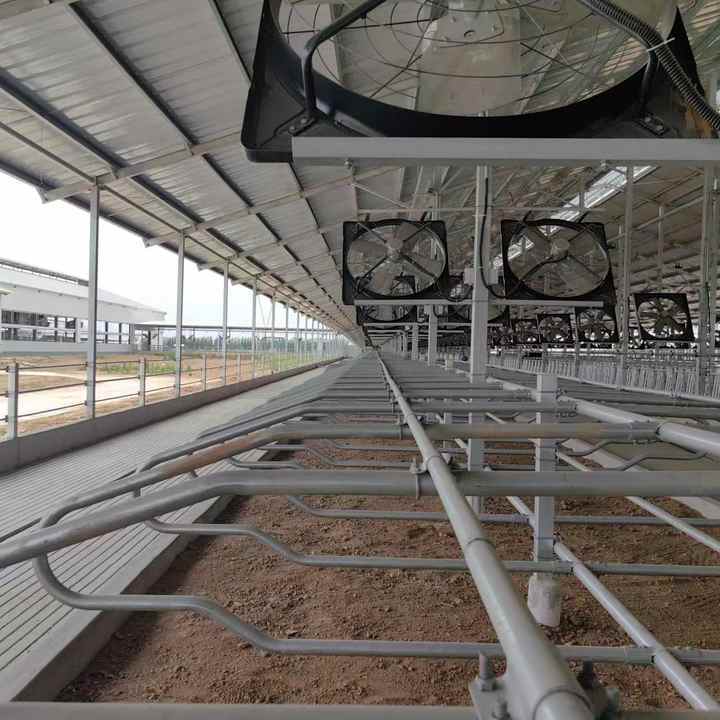 Prefab Steel Structure Animal Cages Cow