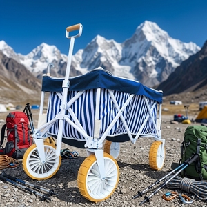 Chariot <span class=keywords><strong>de</strong></span> plage à roulettes avec grandes roues, chariot robuste pour <span class=keywords><strong>le</strong></span> sable, <span class=keywords><strong>le</strong></span> <span class=keywords><strong>camping</strong></span>, l'extérieur, OEM personnalisé - Product Image 6