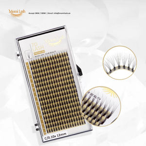Extensions de cils professionnelles en éventail préfabriquées 7D Volume 0.15mm d'épaisseur Cils souples personnalisés de plateau de marque privée avec CC Curl - Product Image 2