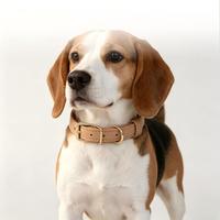 Collar de Cuero Granulado para Perro, Ajustable, con Logotipo Personalizado, Collar de Cuero Genuino para Dueños de Perros, para Paseos Diarios
