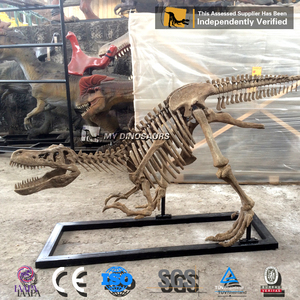 Mon Dino Mini Taille Dinosaure t-rex Squelette pour la Décoration <span class=keywords><strong>De</strong></span> La <span class=keywords><strong>Maison</strong></span> - Product Image 4