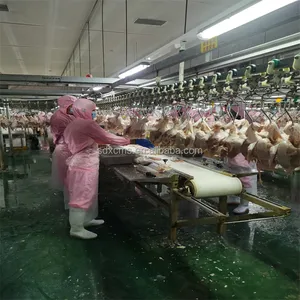 2024 gran oferta 500BPH 1000BPH 5000BPH línea de procesamiento de equipos de matanza de pollos halal para matadero de aves de corral