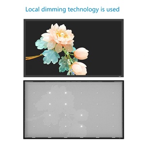 Insovision 55 Inch IP65 1500 Nit <b>Mini</b> Led Local Dimming 4k Outdoor Pool <b>Tv</b> with Built-In Speaker and Wide Viewing Angle - Product Image 5