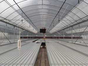 Tables et plateaux d'inondation directs d'usine lit de culture hydroponique épissure agricole flux de reflux banc roulant pour serre commerciale - Product Image 6