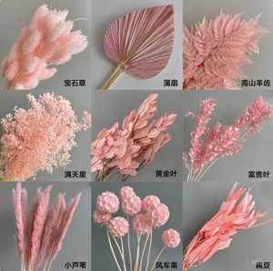 Nuevas y creativas flores secas preservadas <span class=keywords><strong>de</strong></span> lujo en varios colores rosa, hojas <span class=keywords><strong>de</strong></span> hierba y joyas ornamentales para decoración <span class=keywords><strong>de</strong></span> bodas - Product Image 1