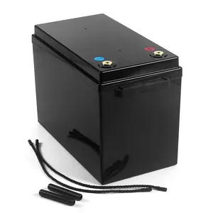 Luyuan Plastic Waterproof Battery Box/Case for 12V 200AH 202AH 230AH 280AH Battery Pack