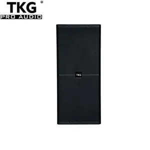 TKG двойной 15-дюймовый 1000 Вт 1000 Вт сценический бас динамик стенд Профессиональная звуковая система