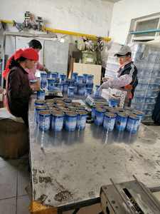 ציסטות ארתמיה תינוקת פגמיה תינוקת פגז 95% ביצי שרימפס מלח - Product Image 6