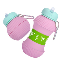 Bouteille d'eau pliable en silicone, bouteille portable, bouteille avec mousqueton, bouteille de voyage pour l'extérieur