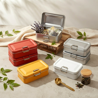 Boîte en fer blanc rectangulaire légère à couvercle articulé à clipser pour souvenirs, échantillons d'épices, clés, bijoux, breloques, mini-gadgets, rangement intérieur, autocollants