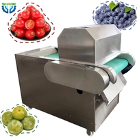 Industriële fruitplukmachines Cranberry-punchmachines