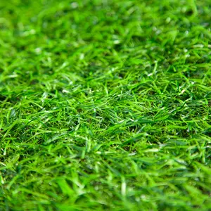 Harga rumput hijau buatan taman pabrikan tahan air Populer