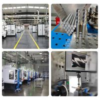 Fraise à queue hélicoïdale inégale en carbure, 4 dents, revêtement TiAlSiN, haute efficacité, OEM/ODM pour l'usinage CNC de l'acier inoxydable HRC55