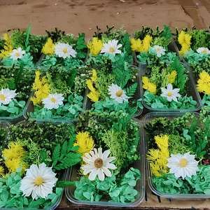 Kit de fleurs séchées naturelles blanches, boîte de matériaux de fleurs séchées préservées pour la fabrication artisanale de résine, la fabrication de bougies, la décoration de cadres <span class=keywords><strong>photo</strong></span> - Product Image 6