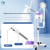 Appareils de soin du visage professionnels Z, vaporisateurs chauds et froids, ozone, nano-brume hydratante, équipement de salon de beauté pour les soins de la peau, usage commercial