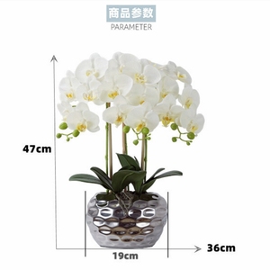 SLF016 Prix d'usine <span class=keywords><strong>Orchidée</strong></span> artificielle en soie importée en pot, Phalaenopsis artificielle, Décoration <span class=keywords><strong>pour</strong></span> la maison et le bureau - Product Image 6
