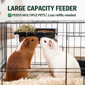 Comedero de Plástico Resistente para Pollos, Rectangular, Colgante, Anti-dispersión, con <span class=keywords><strong>Bebedero</strong></span> para Aves de Corral, Patos y Pájaros - Product Image 1