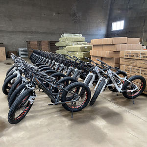 Bicicleta eléctrica con batería de 48v, <span class=keywords><strong>ebike</strong></span> de nieve de 750w, neumático ancho de 26 pulgadas, en venta - Product Image 6