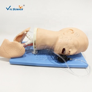 Modelo de Obstrucción de Vías Respiratorias Multifuncional Avanzado, Tamaño Real de Adulto, para Enfermería y Medicina - Product Image 4