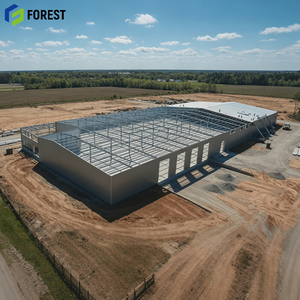 Prefabricated Steel Structure Warehouse Agricultural Facility Corrosion Resistant Space Frame Wholesale - Product Image 1