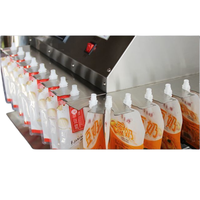 Machine de remplissage semi-automatique à une seule buse pour sachets souples de 6 à 12 poches, idéale pour l'eau minérale et les boissons