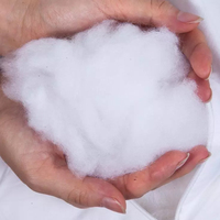 En gros meilleur recyclé 15D * 32MM fibre discontinue de polyester conjugué creux polyfill farce