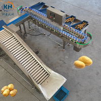 Kartonnen doos sorteermachine voor aardappelgewicht, voor groenteverwerkingsbedrijven, met toevoerelevator & PLC-sensor