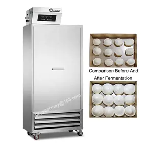 Offre Spéciale électrique beignets pain pâte retardateur Proofer salle commerciale Fermentation Proofer pour boulangerie