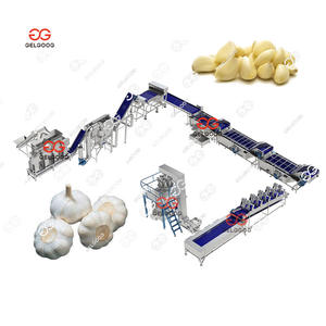 Peladora de Ajo a Presión de Alta Eficiencia, Automática, Pakistán, 1000 kg/h, Máquina Peladora de Ajo para Uso Industrial - Product Image 1