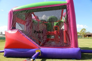 Tinker Bell 5-en-1 Combo Venta caliente Jumping Inflable Bounce House Castillo hinchable con tobogán es adecuado para fiestas infantiles al aire libre - Product Image 6
