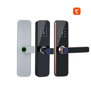 Bouton de porte de cylindre intelligent numérique de sécurité OEM, serrure de porte étanche avec tuya zigbee wifi, serrure de porte intelligente de maison