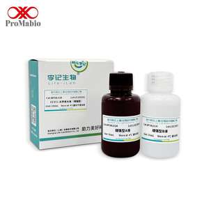 ชุดตรวจจับสารเรืองแสงเคมี EZ ECL สำหรับการตรวจแบบ Western Blot ในห้องปฏิบัติการทางเคมี - รุ่นเสริมประสิทธิภาพ 100 มล./500 มล. รุ่น AP34L014 - Product Image 1