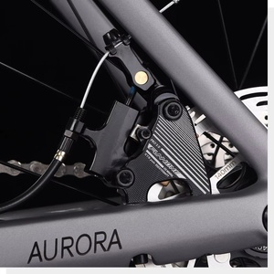 Bici da Corsa in Carbonio SAVA A7 Gruppo Completo Vendita all'Ingrosso dalla Fabbrica Offerta Speciale UCI - Product Image 6