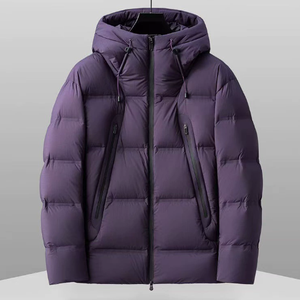 Doudoune à capuche unisexe de luxe léger, imperméable, anti-froid, chaude, isotherme, en duvet de canard blanc - Product Image 2