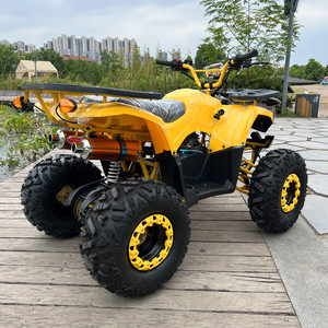 <span class=keywords><strong>Cuatrimoto</strong></span> Todoterreno Amarilla de <span class=keywords><strong>4</strong></span> Ruedas y <span class=keywords><strong>4</strong></span> Tiempos con Portaequipajes para Recreación al Aire Libre, 125cc, Fabricada en Fábrica - Product Image 4