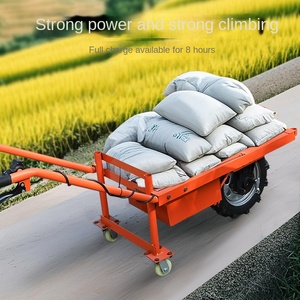 Carretilla Agrícola de Tres Ruedas para Transporte en Huertos, Carga de Ladrillos y Abono, 100 kg, 3 Meses de Garantía - Product Image 2