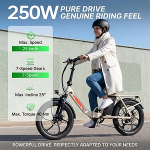 Bicicleta Eléctrica Plegable Mule de 48V 250W con Batería de 20Ah, Frenos de Disco, Shimano de 7 Velocidades, Neumáticos Gruesos de 20 Pulgadas y Suspensión Delantera - Product Image 2
