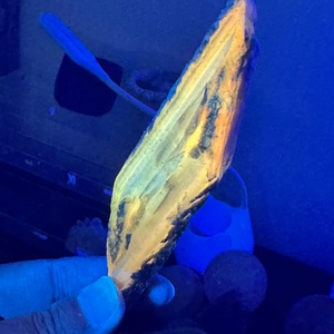 Venta al por Mayor de Pequeñas Piezas Naturales de Yeso Nepalí, Talladas a Mano, de Alta Calidad, Estilo Bohemio, Forma Irregular - Product Image 6