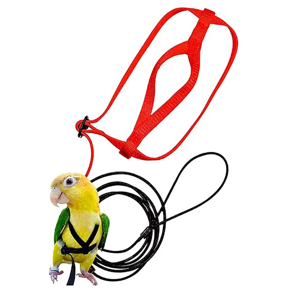 Laisse d'oiseau Perroquet Harnais souple Réglable 5 tailles Perroquet Animaux En Plein Air Volant Formation Harnais perroquet accessoires