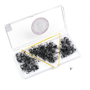 Extensions de <span class=keywords><strong>cils</strong></span> préfabriquées Pro Made 30D 40D 500, base pointue, éventails de volume préfabriqués à tige longue ou courte, en vrac - Product Image 6