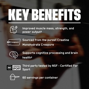 Creatina Monohidrato en Polvo para Deportistas, Favorece el Crecimiento Muscular, la Fuerza y la Función Cognitiva, Compatible con OEM y ODM - Product Image 3