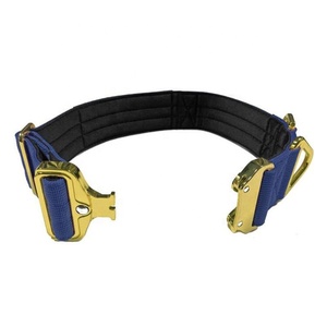 Collares de perro mascota acolchados de nailon con hebilla de metal dorado de excelente calidad - Product Image 6