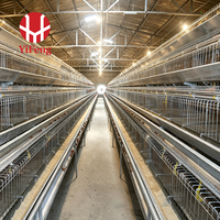 Cage de pontage de type A avec alimentation et abreuvement automatiques, collecte d'œufs, système de fumier OEM, abreuvoir à tétine, galvanisation à chaud pour ferme avicole