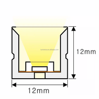 Bande supérieure en silicone 1010 1212 1414 1616 2020 bande de néon led IP67 bande de néon 5v 12v 24v corde de néon en silicone