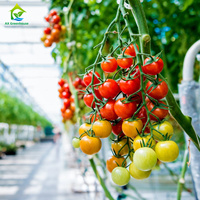 Kit Complet Professionnel de Serre Tunnel en Plastique pour Cultures de Tomates avec Système d'Irrigation