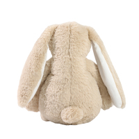 Jouets en peluche mignons de Pâques, animaux en peluche lestés, lapin en peluche Jelly Bunny