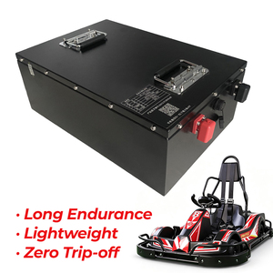 Paket Baterai LiFePO4 48V 80Ah 100Ah Smart BMS Kompatibel dengan Go Kart Balap dan Go Kart Sewa Komersial - Product Image 2