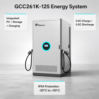 Chargeur rapide DC tout-en-un pour véhicules électriques avec système de stockage d'énergie par batterie 120 kW CCS2 CHAdeMO Station de charge hors réseau